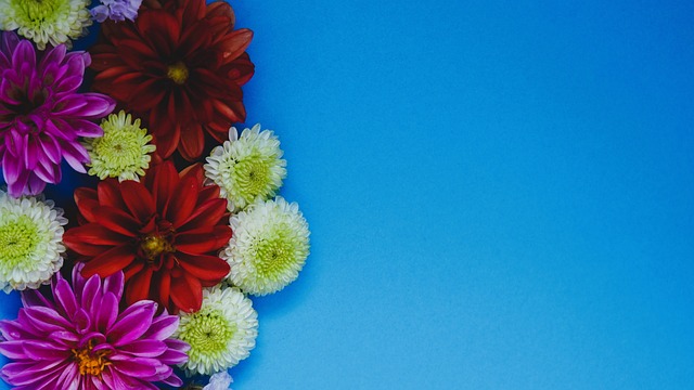 足协的努力 足协的努力