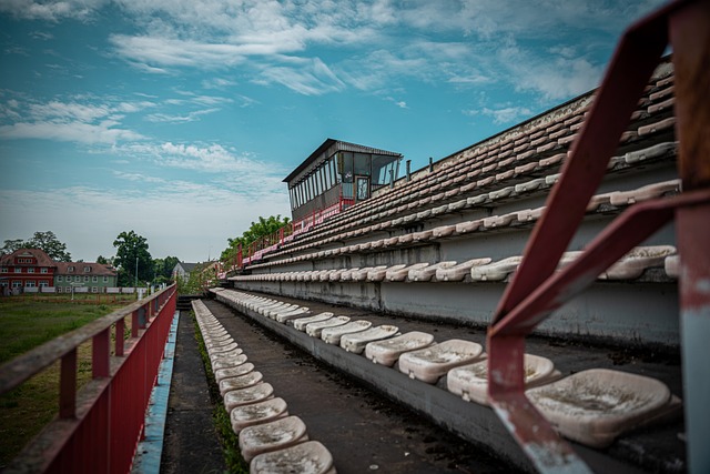赋到场外风 赋到场外风