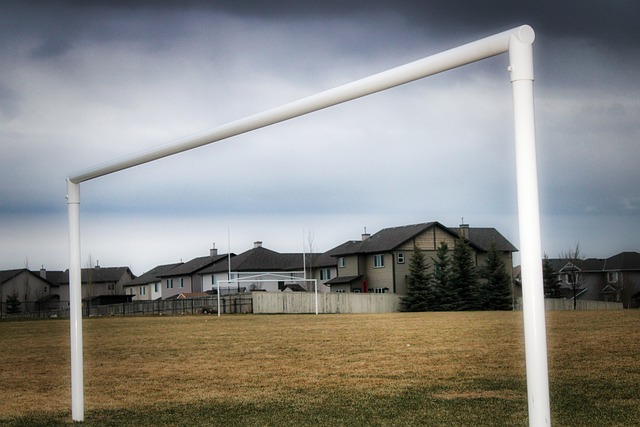 上任波黑国 上任波黑国