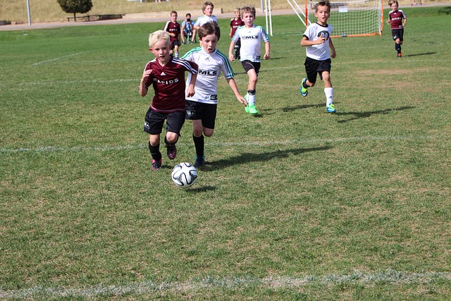 与战术调整 与战术调整