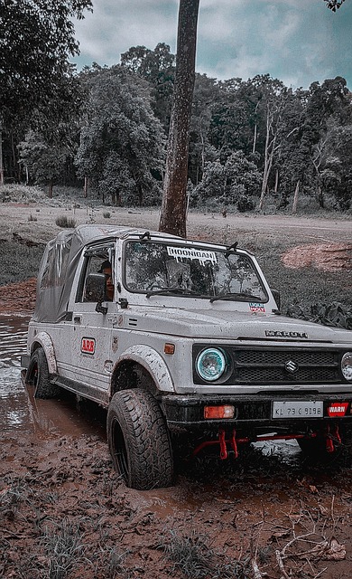 東京奧運會法國國奧隊陣容名單.