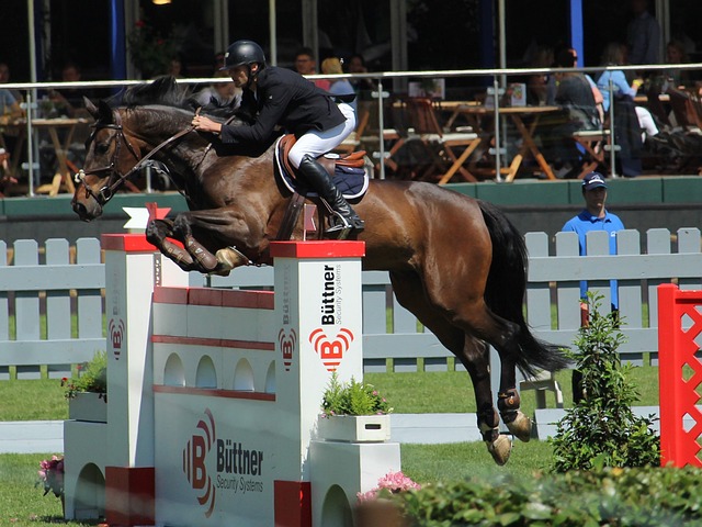 结合数据来 结合数据来