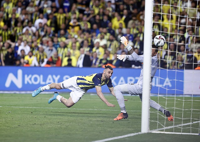 顽强的上海 顽强的上海